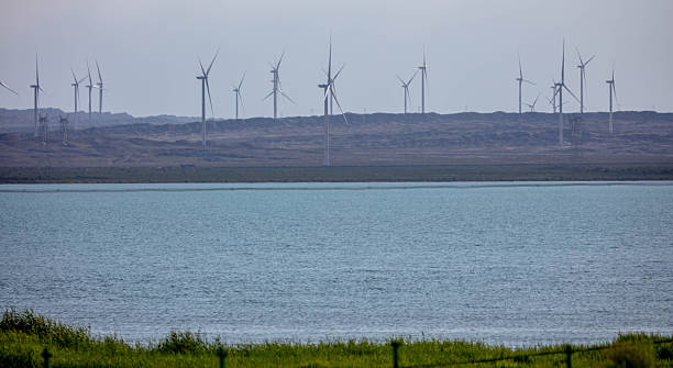 istock Wind turbines are densely distributed along the lake 2229868087