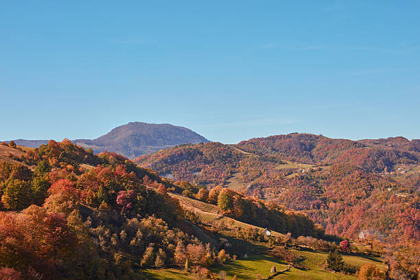 istock Autumn colored trees and countryside landscape scenery. 2229871369
