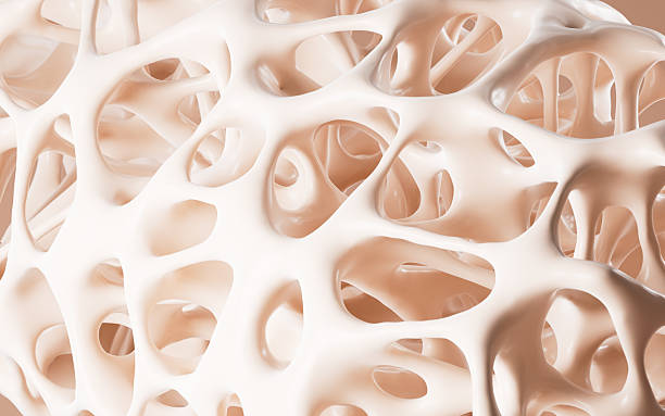istock Abstract porous framework material background, nerve fibers background, bone mineral density background, 3d rendering. 2229871446