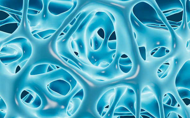 istock Abstract porous framework material background, nerve fibers background, bone mineral density background, 3d rendering. 2229871600