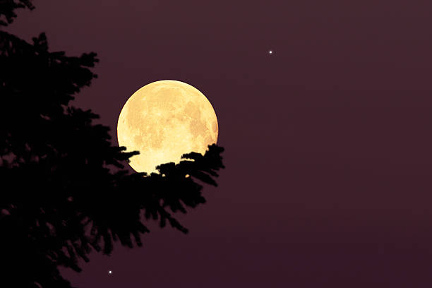 istock Full Moon with stars, planets and rural countryside tree silhouettes. 2229871916