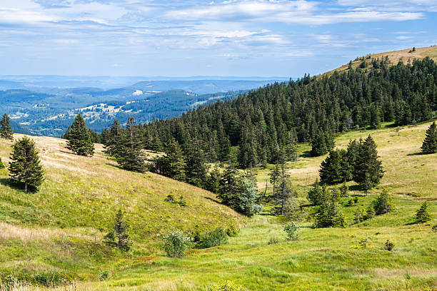 A picturesque view of a mountain valley featuring rolling green fields, dense forests, and a tranquil, expansive horizon under an overcast sky. Perfect representation of natural beauty and serene landscapes.
