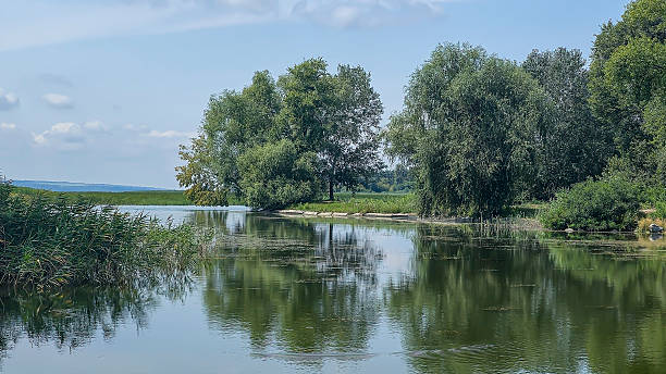 istock Summer river landscape with green trees, reflections and blue sky. Tourism 2229875620