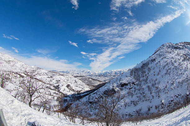 Tunceli Munzur Mountains and its natural life