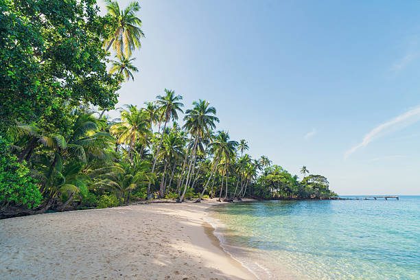 istock Ao Noi beach in Ko Kud island, Thailand 2229881719