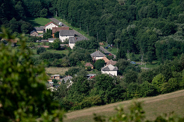 A telephoto view of a small village nestled in a green valley, with clustered houses and visible roofs surrounded by dense forest and rolling fields. Soft summer sunlight creates dappled highlights across the trees and meadows, conveying a peaceful, rural atmosphere.