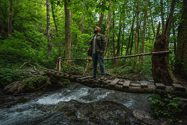 A lone traveler pauses contemplatively on a rustic wooden bridge in a serene forest setting amid lush greenery, embodying exploration and a connection with nature's tranquility.