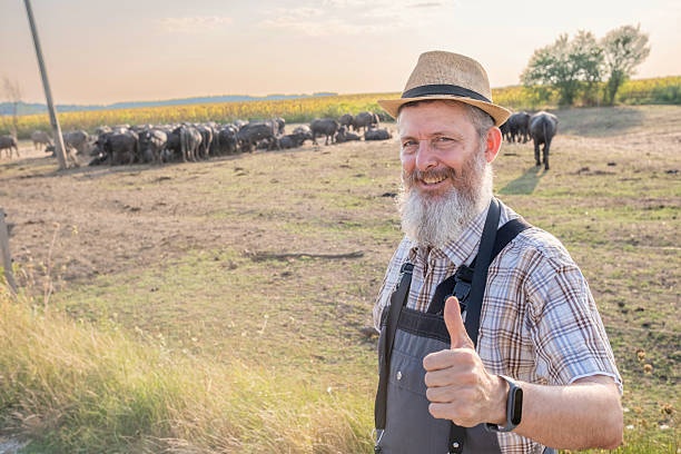 istock Smiling Farmer With Buffalo Herd in Background 2229888781
