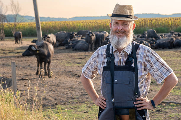 istock Man in Field with Cattle Under Bright Sky 2229888887