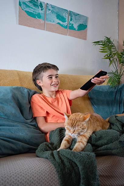 istock Smiling child watching tv with sleeping cat on sofa 2229889381