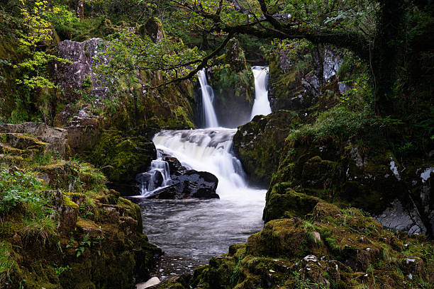istock Scenic waterfall cascading over moss-covered rocks in a forest, Blaenau Ffestiniog, Gwynedd, Wales, Britain 2229890707