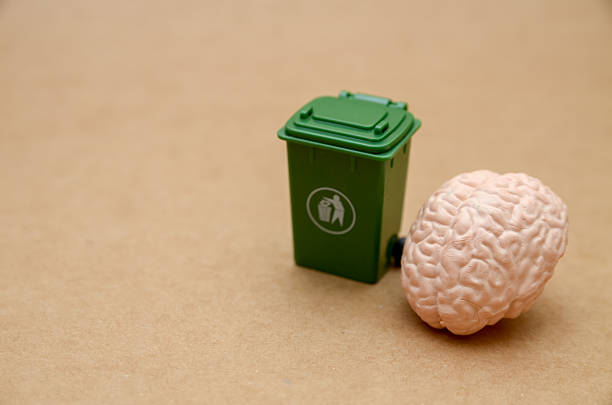 Discarded Ideas  Symbolic Representation of Wasted Knowledge and Abandoned Intellectual Potential