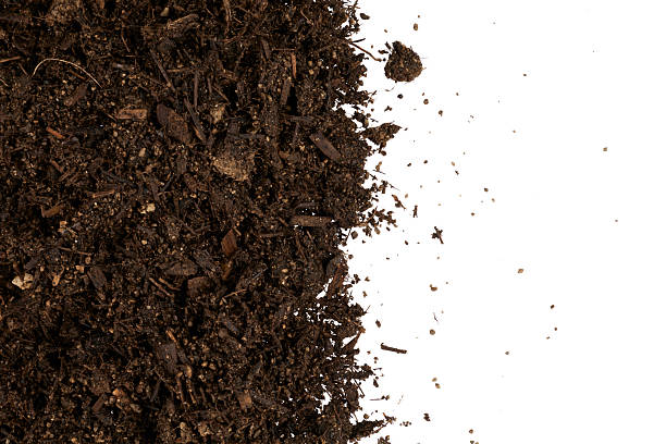 istock close up of black soil isolated on white 2229892414
