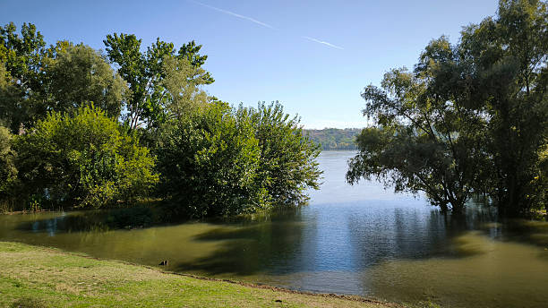 istock high water level of Danube river in Novi Sad 2229894631