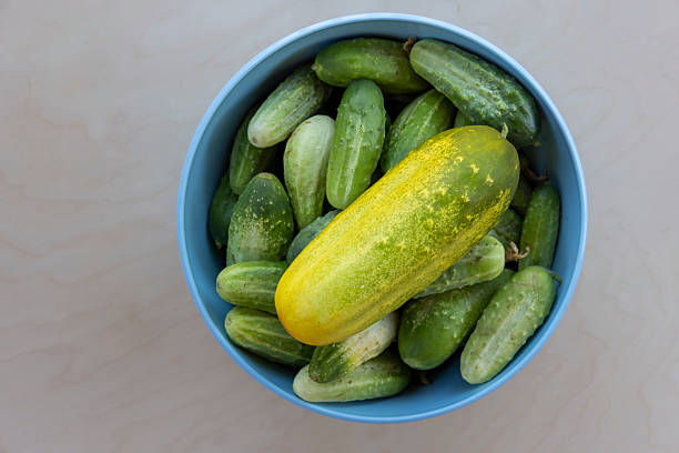 A bowl filled with cucumbers, one of which is yellow. The cucumbers are green and yellow, and they are all piled up in the bowl