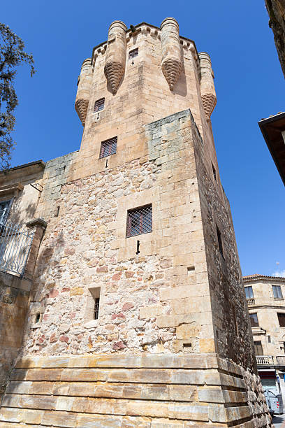 istock Salamanca - The Clavero Tower 2229896729