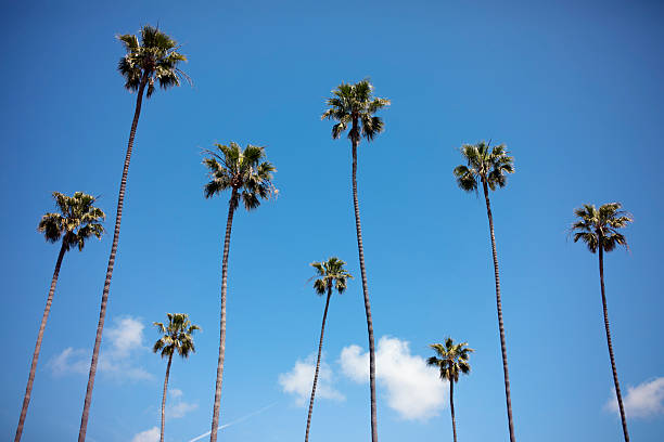istock Laguna Beach, California, USA 2229903671