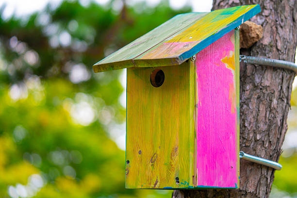 Colorful bird house hanging on a tree. High quality photo