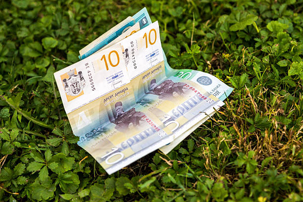 istock Serbian Dinar Banknote Lying on the Ground 2229904903