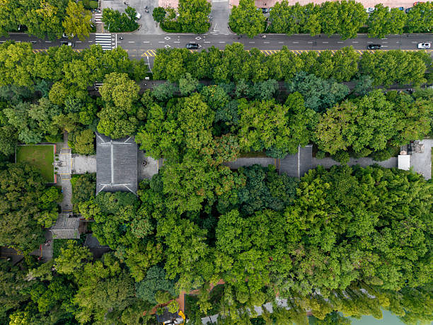 istock Lord Bao Park Bao Zheng 2229907648