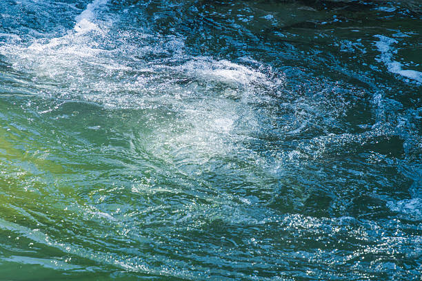 A close-up shot of the bubbling waters of a clear summer stream