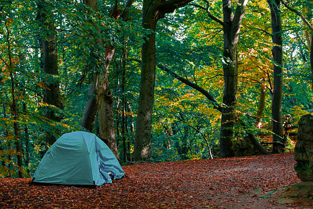 tent in forest tourism season time natural environment space