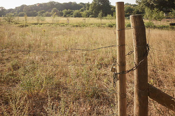 istock Padlock securing gate on a barbed wire fence protecting a field 2229909135
