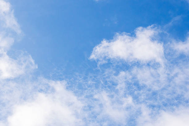 I took a photo of the refreshing blue sky and summer clouds.