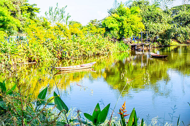 istock Tranquil Green River with Boats and Lush Forest 2229913249