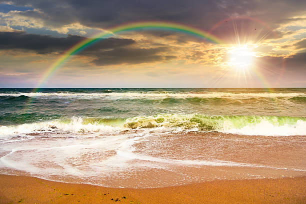 istock dramatic beach outdoor background at sunset 2229914065
