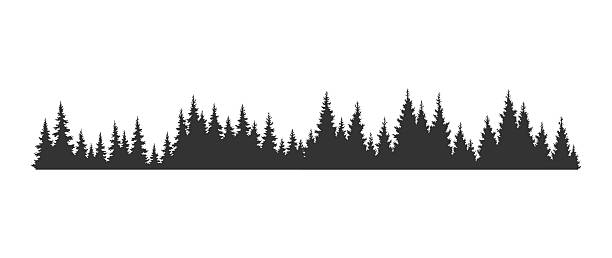 Fir trees silhouette. Coniferous spruce horizontal background pattern, black evergreen woods vector illustration. Beautiful hand drawn panorama of coniferous forest.