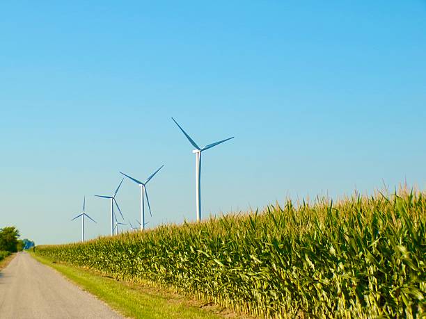 istock Wind turbines in cornfield along road. 2229920767