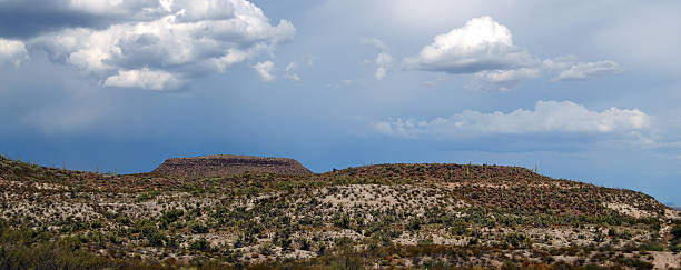 Expansive landscape Sonoran desert in central Arizona USA on a early fall morning