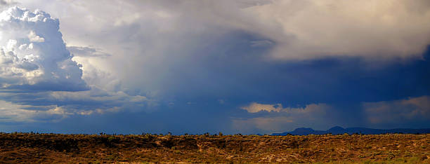 istock Landscape Sonoran Desert Arizona 2229920917