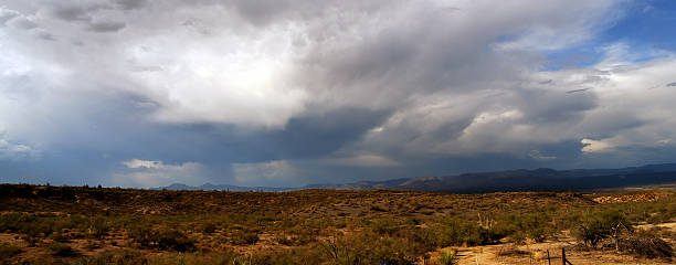 istock Landscape Sonoran Desert Arizona 2229920918