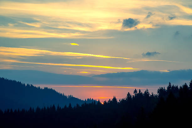 istock Vibrant sunset over tranquil forest landscape reflects natural beauty and serenity 2229920921