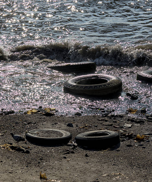 discarded old used tires in water sea ocean pollution dirt garbage refuse car truck rubber filth cleanup restore restoration wave beach cleanup brooklyn new york narrows hudson river