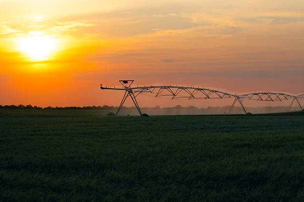 istock Agricultural irrigation system watering soybean field in summer 2229921422