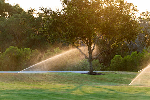 istock Automatic irrigation system with water sprinkler for maintaining grass lawn 2229925212