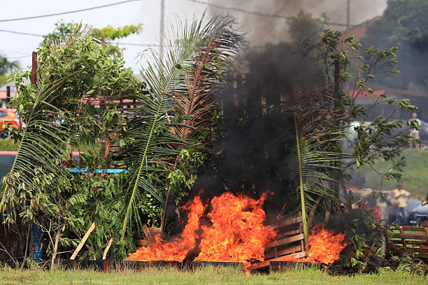 Grass fire in the spring field. Burning of old vegetation.