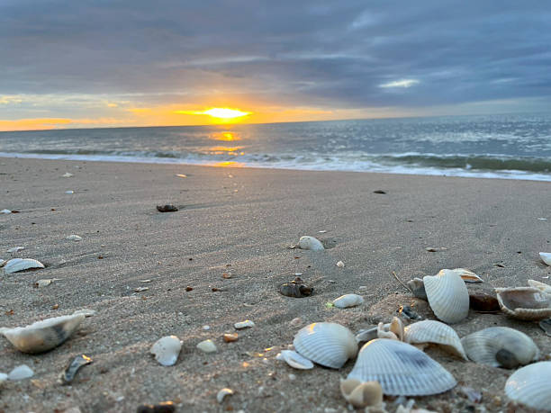 istock sea and beach in the morning 2229931644