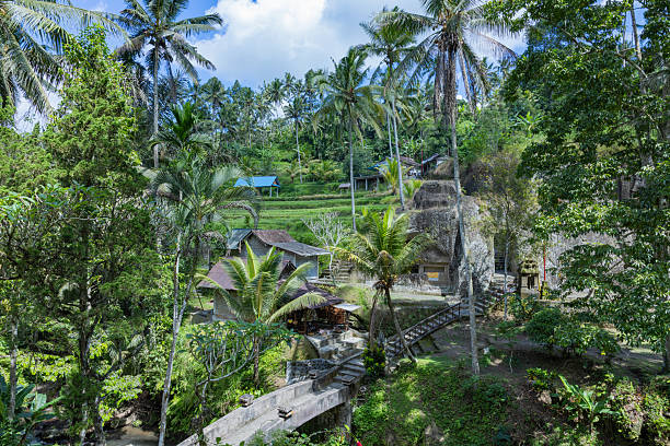 Tegalalang rice terraces near Ubud, Bali