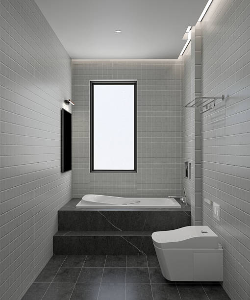 3d render of luxury bathroom