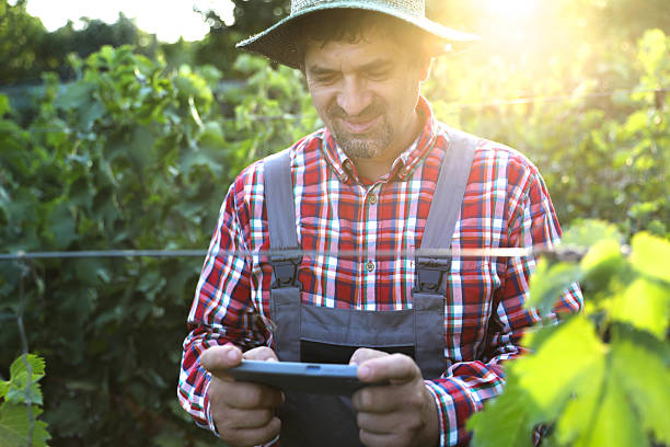istock Elderly Man In Hat And Overalls Using Smartphone In Vineyard 2229938308