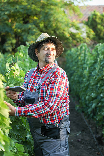 istock Mature Man Using Smartphone For Vineyard Management 2229938485