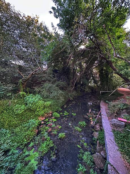 istock River path of the Gafos River as it passes through Pontevedra 2229940172
