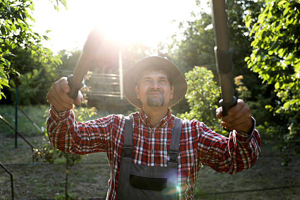 A focused farmer in a green shirt sits among tall corn stalks, gripping a sickle and freshly gathered crops. The scene conveys rural life, manual labor, and active harvest energy.
