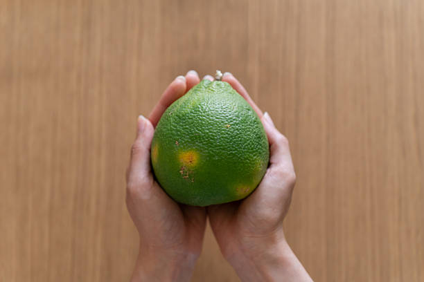 Healthy lifestyle concept, refreshing. Halved cantaloupe. Fresh fruit concept.
