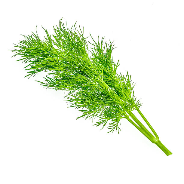 istock Fresh dill herb isolated on white background 2229941386