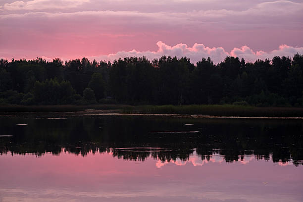 early morning and sunrise over the river and forest in summer